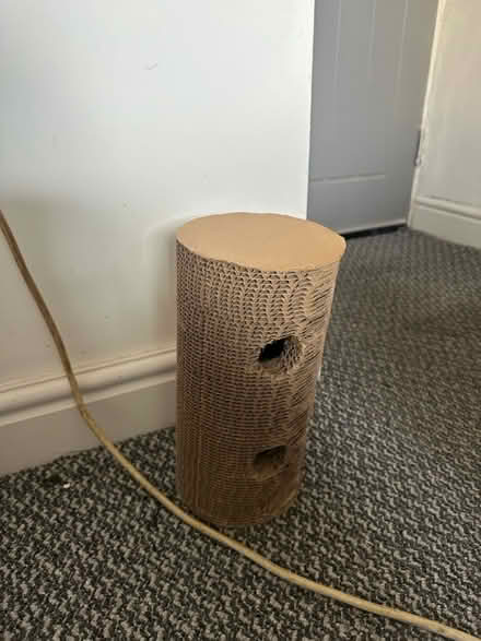 Photo of free Circular Cat scratcher (Birkenhead CH42) #1