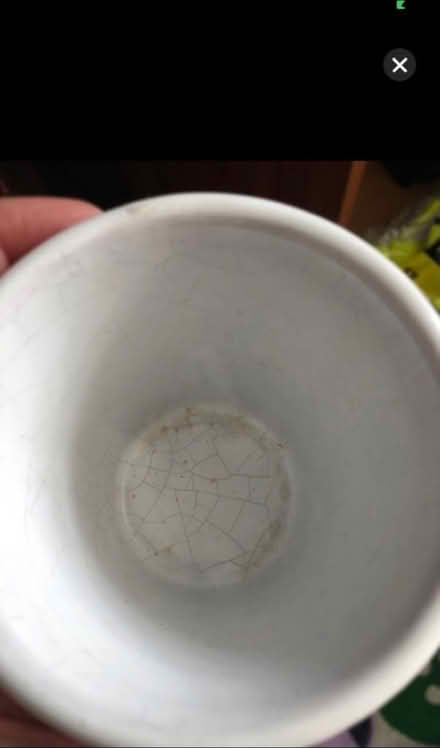Photo of free Small pot vase (Forest Hill SE23) #2