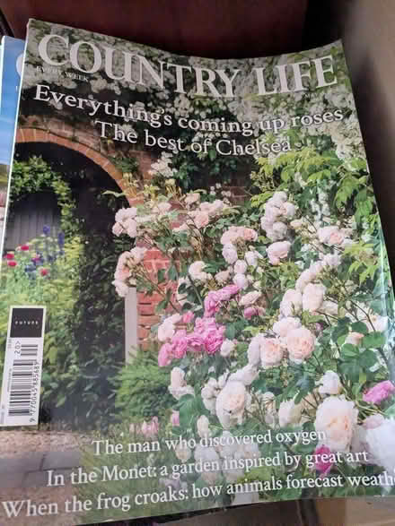 Photo of free Country Life magazine (Chapmanslade BA13) #1
