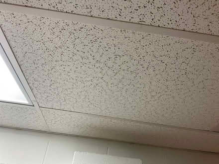 Photo of Drop ceiling panels (Furlong) #1