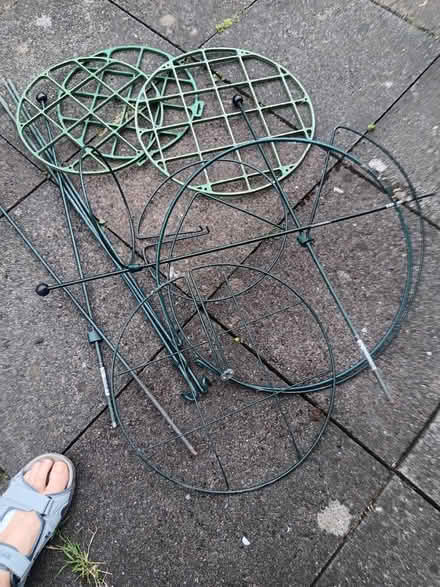 Photo of free Plants supports for garden (Rathmines/Ranelagh) #1