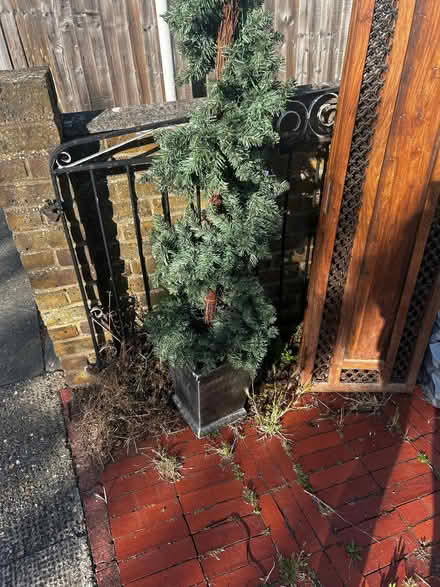 Photo of free Animal run, room divider , puzzle table and fake tree (Orpington BR5) #4