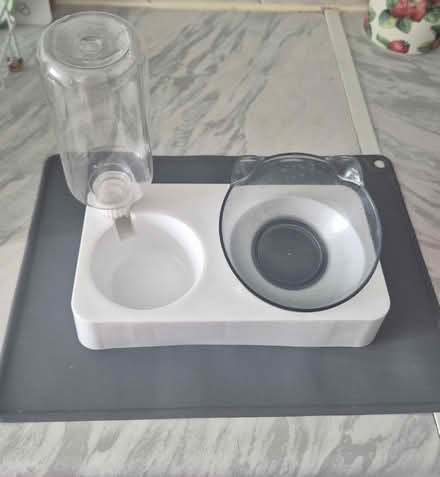 Photo of free cat water + Food bowl (Figge's Marsh CR4) #1