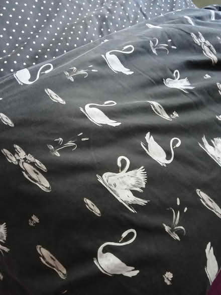 Photo of free Double sided duvet cover (Willesborough) #1