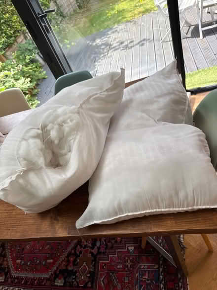 Photo of free Old pillows freshly washed - stuffing (St Albans AL4) #1