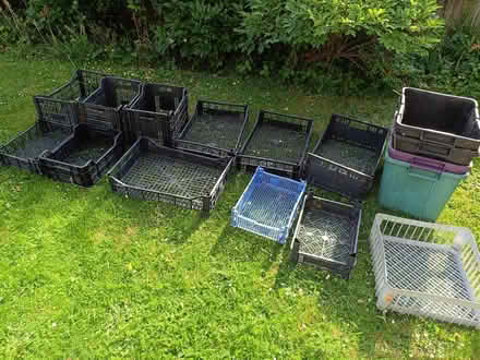 Photo of free Plastic Boxes and Crates (Bray SL6) #1