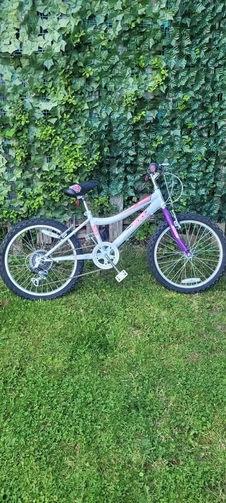 Photo of free Angel Bike 20" Girls Bicycle Shimano Gears Purple & Silver (Willow Bog BD4) #1