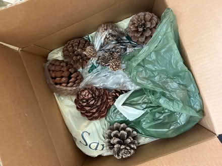 Photo of free Wreath making items for Xmas (Clanfield OX18) #1