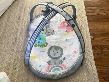 Photo of free Infant play mat (Washington Crossing, pa) #1