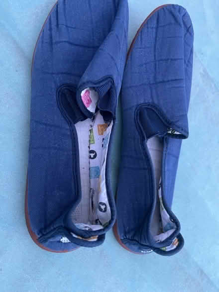 Photo of free Flossy pumps (Tyseley B11) #1
