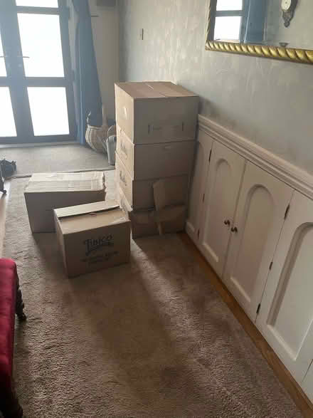 Photo of free Packing boxes (Lloyd Park CR2) #1