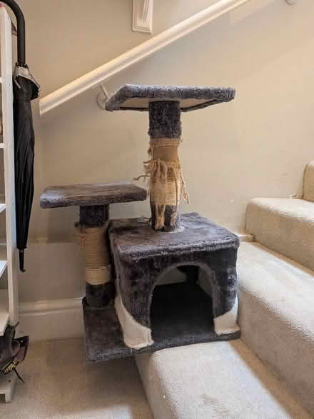 Photo of free Small cat tree (Crouch End N8) #1