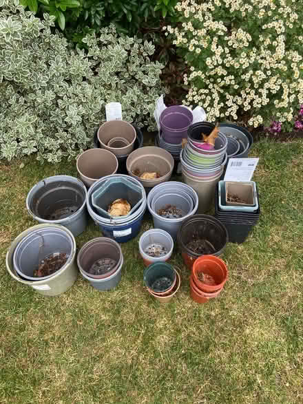 Photo of free A selection of medium to small plastic pots (Aigburth L19) #2