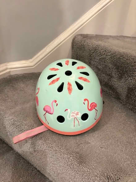 Photo of free Micro child helmet with Flamingos (Chelsea SW3) #1