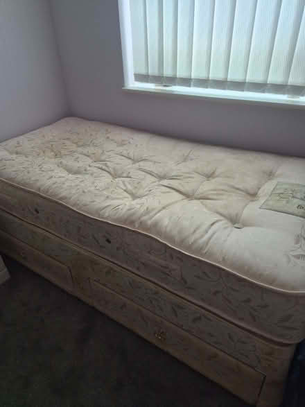 Photo of free Single divan bed (Prestwich M25) #1