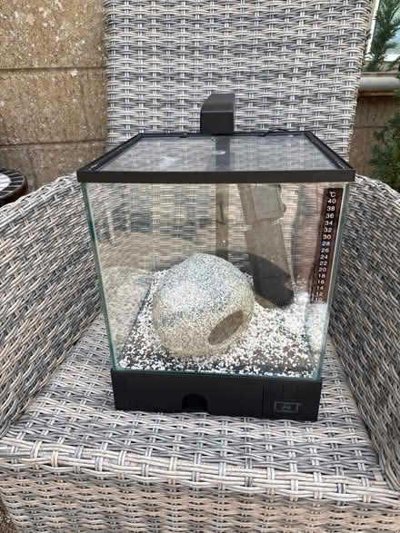 Photo of free Fish tank (GL6 9EL) #1