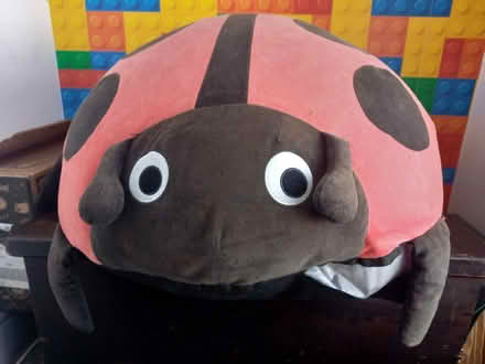 Photo of free Ladybird big relaxing cushion (SE9) #1