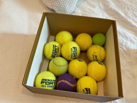 Photo of free Tennis balls for your pets (Hampstead, mw3) #1