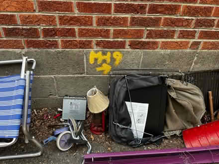 Photo of free Randoms (Park Hill) #4