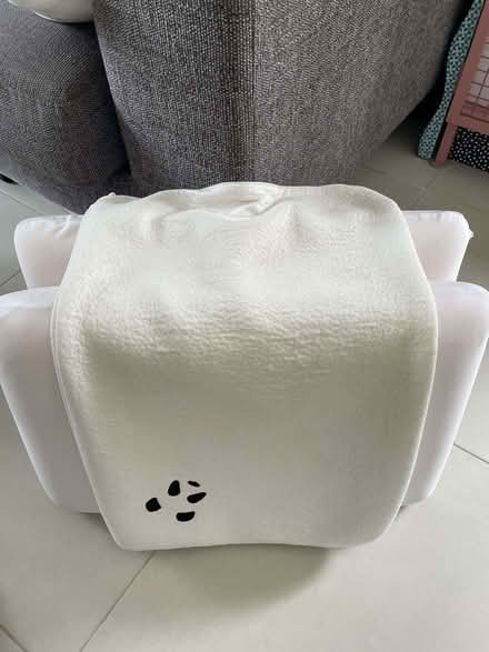 Photo of free Panda memory foam pillows (North Acton W3) #2