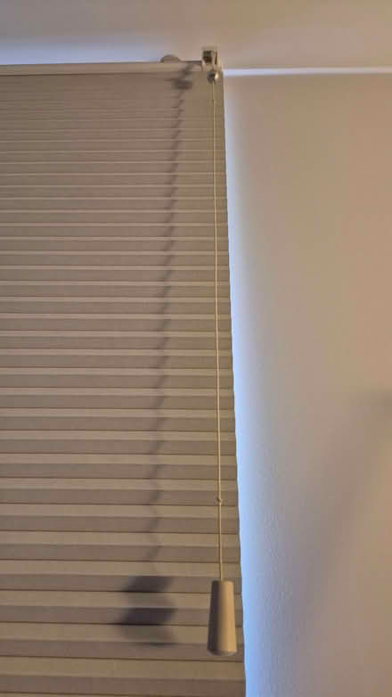 Photo of free Blackout Honeycomb blind - 165cm x. 172cm - cord broken (Twickenham TW1) #2