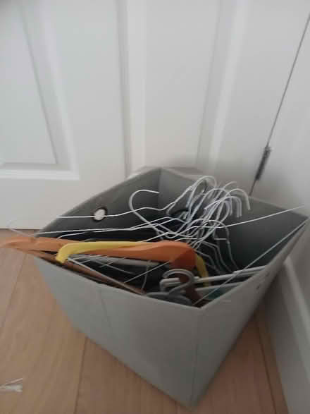 Photo of free Clothes hangars (Lewisham SE3) #1