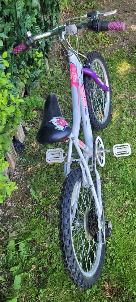 Photo of free Angel Bike 20" Girls Bicycle Shimano Gears Purple & Silver (Willow Bog BD4) #4