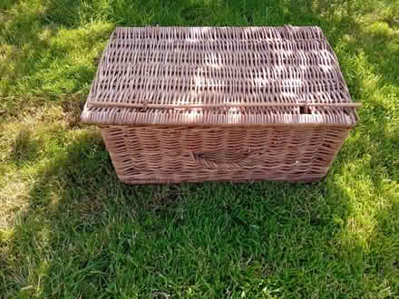 Photo of free rattan rectangle basket (Caton green la2) #1