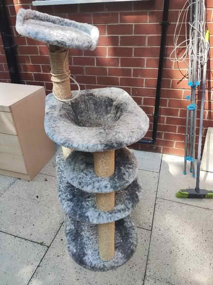 Photo of free Cat tree (Greenheys M38) #1