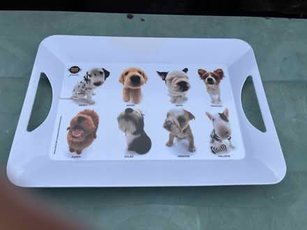 Photo of free Trays (Tyseley B11) #1