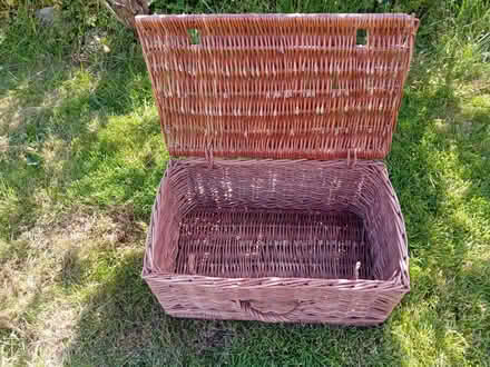 Photo of free rattan rectangle basket (Caton green la2) #2