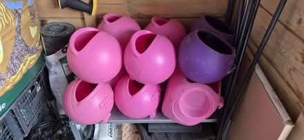 Photo of free Omlet Eglu feeders and drinkers (St Helier SM4) #1