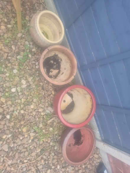 Photo of free Outdoor plant pots (Buckland End B34) #1