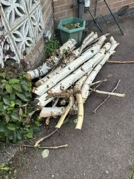 Photo of free Logs (Littleover, Derby) #1