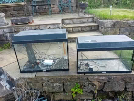 Photo of free 2 tropical fish tanks (Morecambe LA4) #4