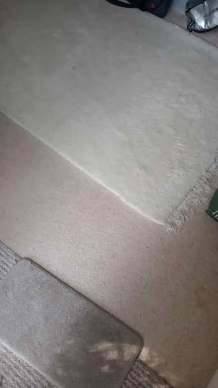 Photo of plain off white rug (Southbourne BH6) #1