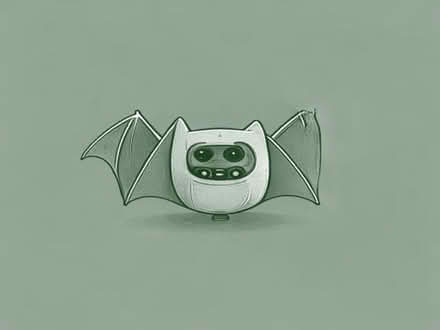 Photo of Bat detector (Letchworth SG6) #1