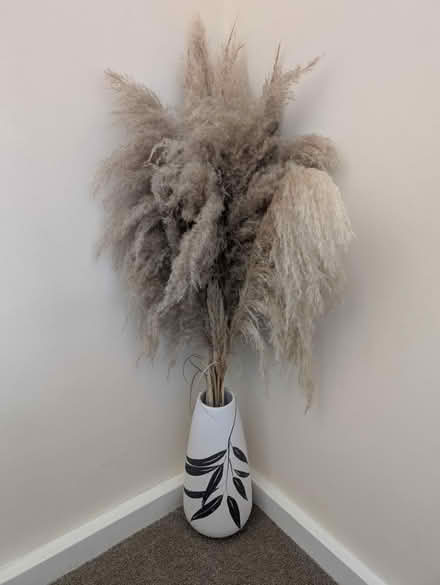 Photo of free Fluffy pampas in jar (Abingdon, OX14 3TD) #1