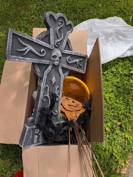 Photo of free Halloween misc items (near Spring Ridge frederick) #1