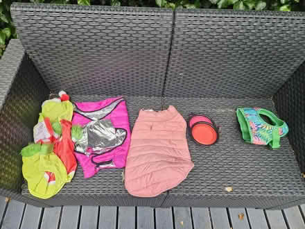Photo of free Coats etc for small dog (HU17 Beverly) #1