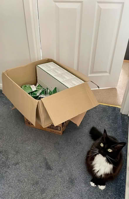 Photo of free Amazon brand cat food (Bolsover S44) #1