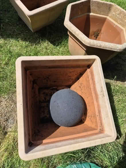 Photo of free large garden pots (Gwespyr CH8) #2