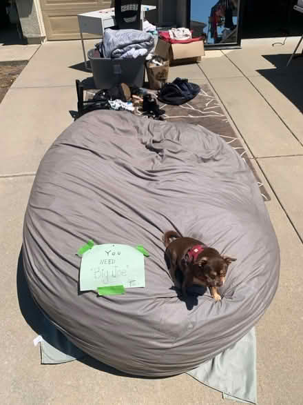 Photo of free Big Joe giant bean bag (ELK GROVE around Trader Joe’s) #1