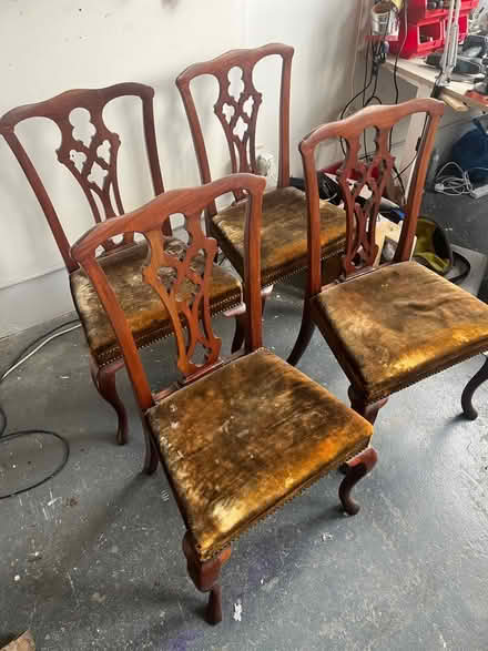Photo of free Chippendale chairs vintage (E5) #2