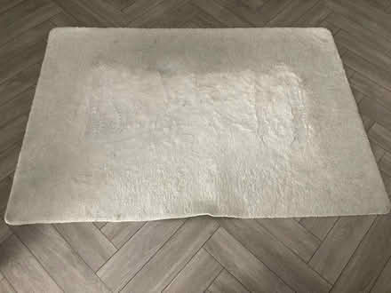 Photo of free Rug (Oxford) #2