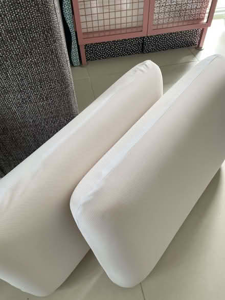 Photo of free Panda memory foam pillows (North Acton W3) #3