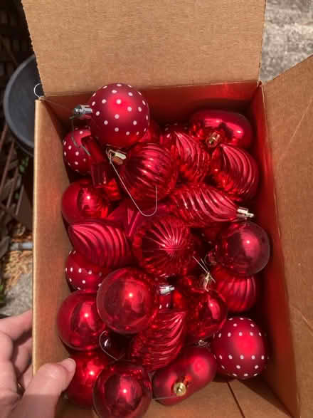 Photo of free Plastic Xmas decorations (North Berkeley) #1