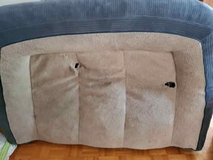 Photo of free XL dog bed (Near Experimental Farm) #1