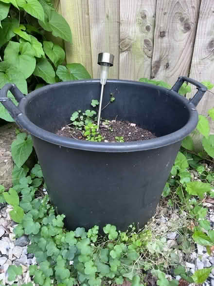 Photo of free Garden stuff (brixham devon TQ5) #2
