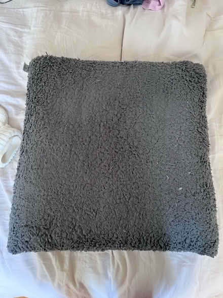 Photo of free Large cushion (Hoxton E2) #1